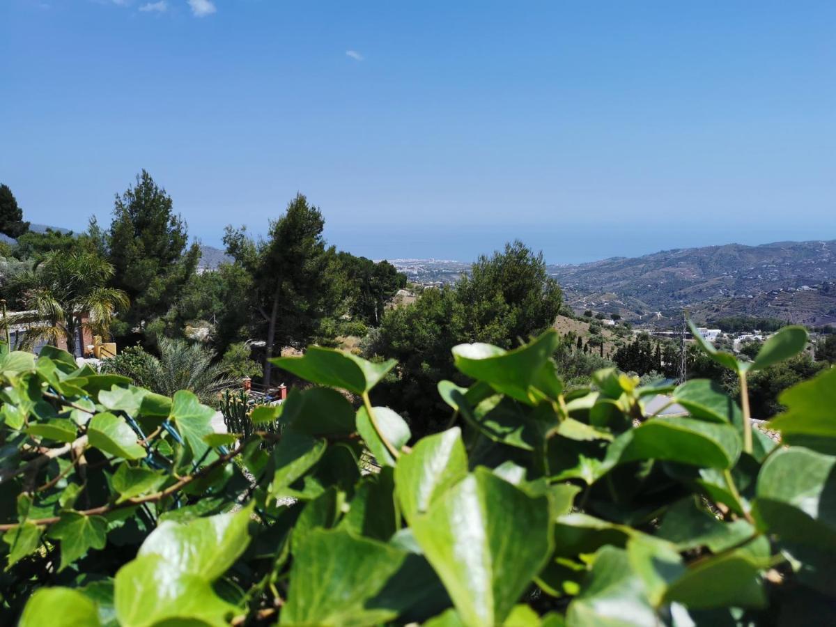 Casa Ayo Pension Frigiliana Buitenkant foto