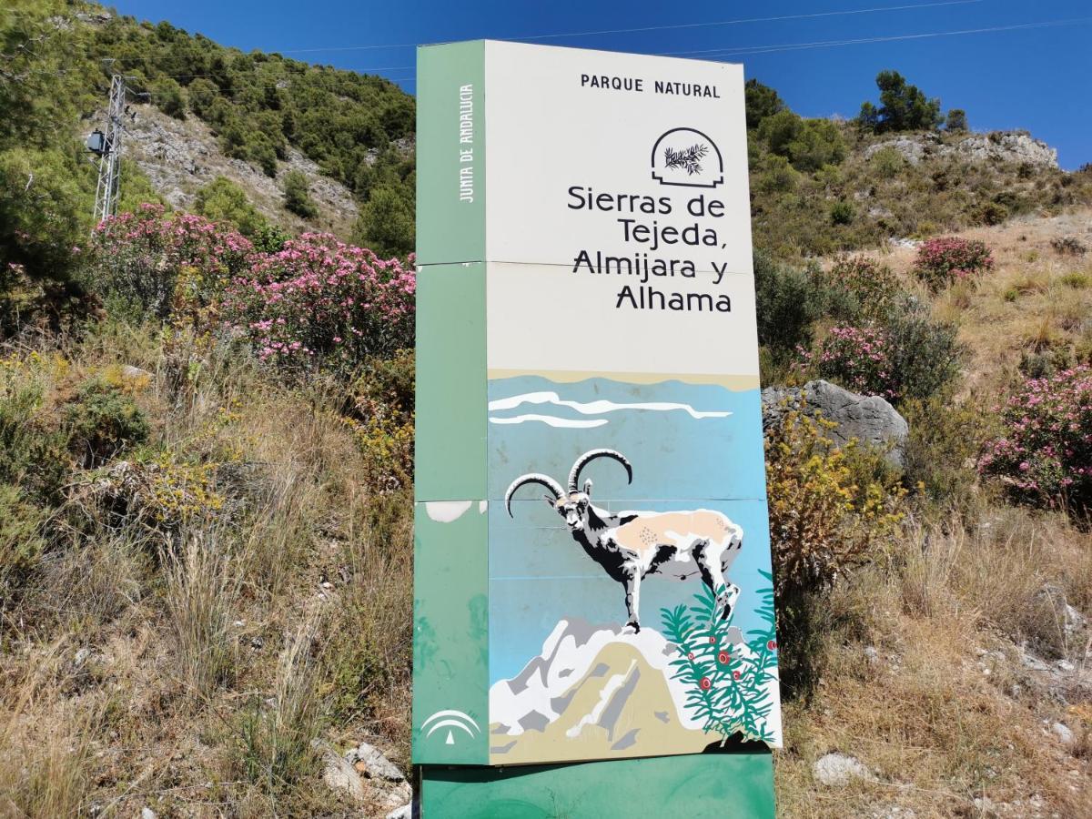 Casa Ayo Pension Frigiliana Buitenkant foto
